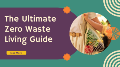 Zero waste living tips for a sustainable home